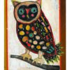 Malcolm Owl Postcard